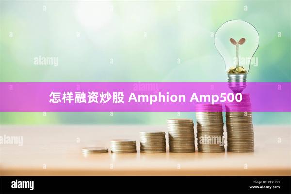 怎样融资炒股 Amphion Amp500