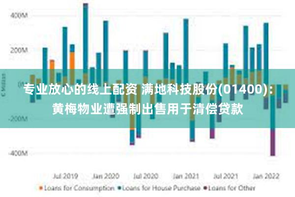 专业放心的线上配资 满地科技股份(01400)：黄梅物业遭强