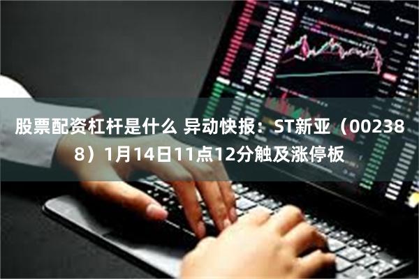 股票配资杠杆是什么 异动快报：ST新亚（002388）1月1