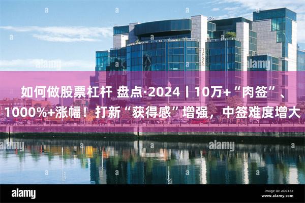 如何做股票杠杆 盘点·2024丨10万+“肉签”、1000%