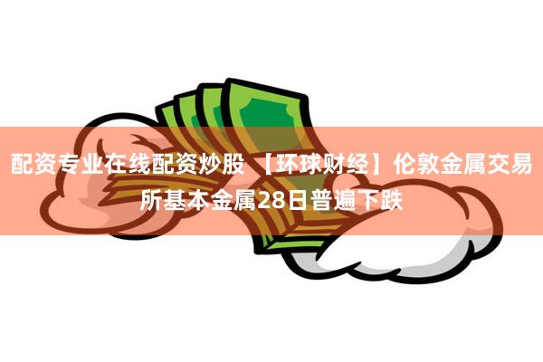 配资专业在线配资炒股 【环球财经】伦敦金属交易所基本金属28