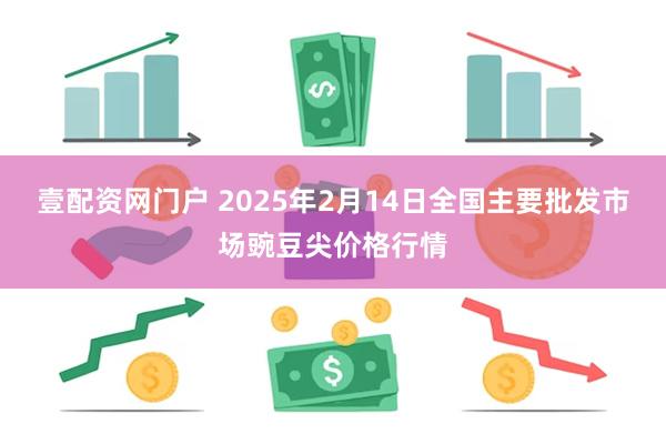 壹配资网门户 2025年2月14日全国主要批发市场豌豆尖价格