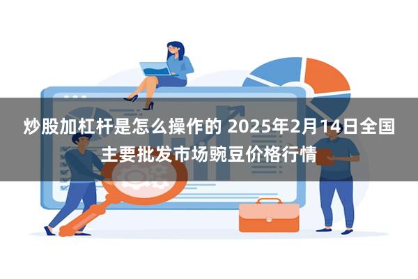 炒股加杠杆是怎么操作的 2025年2月14日全国主要批发市场