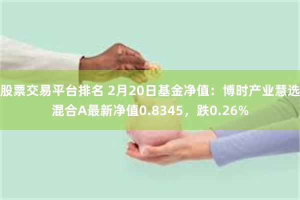 股票交易平台排名 2月20日基金净值：博时产业慧选混合A最新